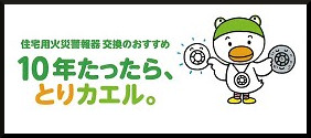 10年たったら、とりカエル